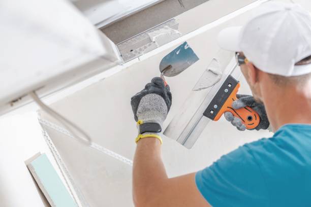 Best Drywall Sanding and Smoothing  in Eaton, IN